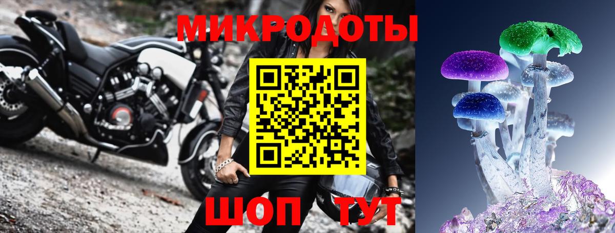 Галлюциногенные грибы мицелий Магадан