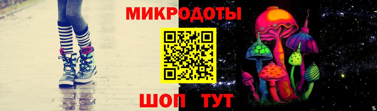 наркотики  Псилоцибиновые грибы ЛСД  Вход с VPN  Магадан  Псилоцибиновые грибы мухоморы 